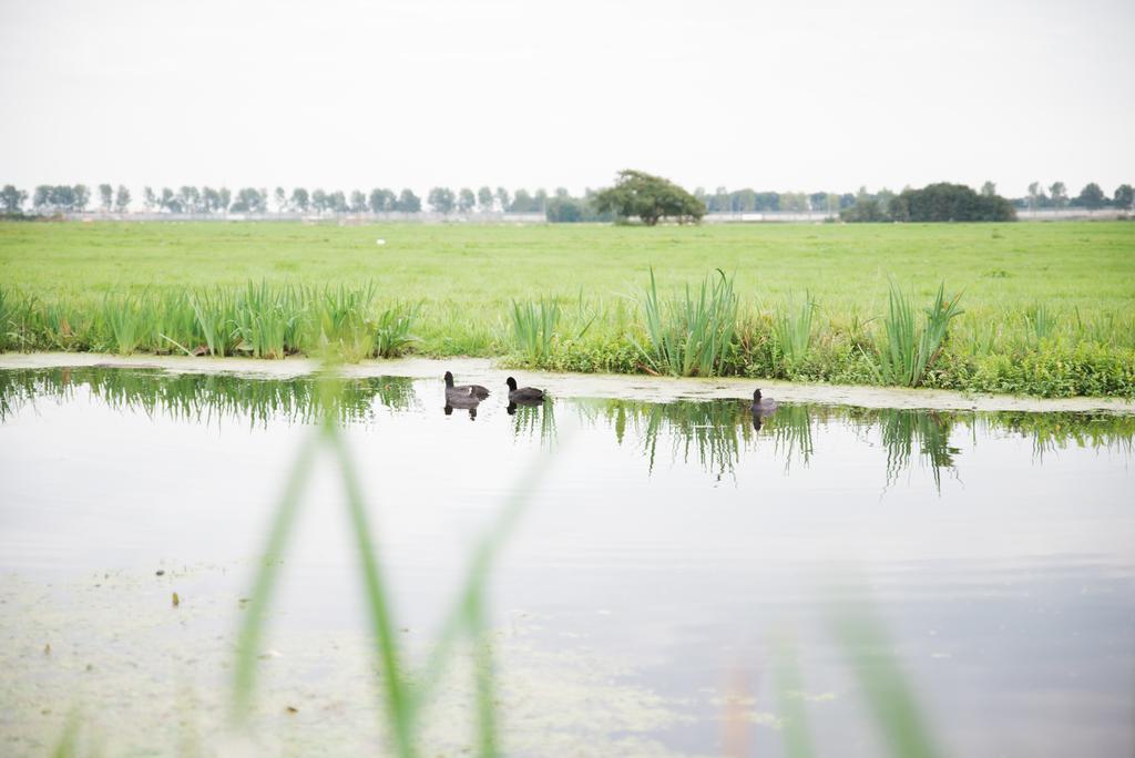 Het Stalhuys Apartment Reeuwijk Bagian luar foto
